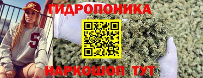 трава Бийск