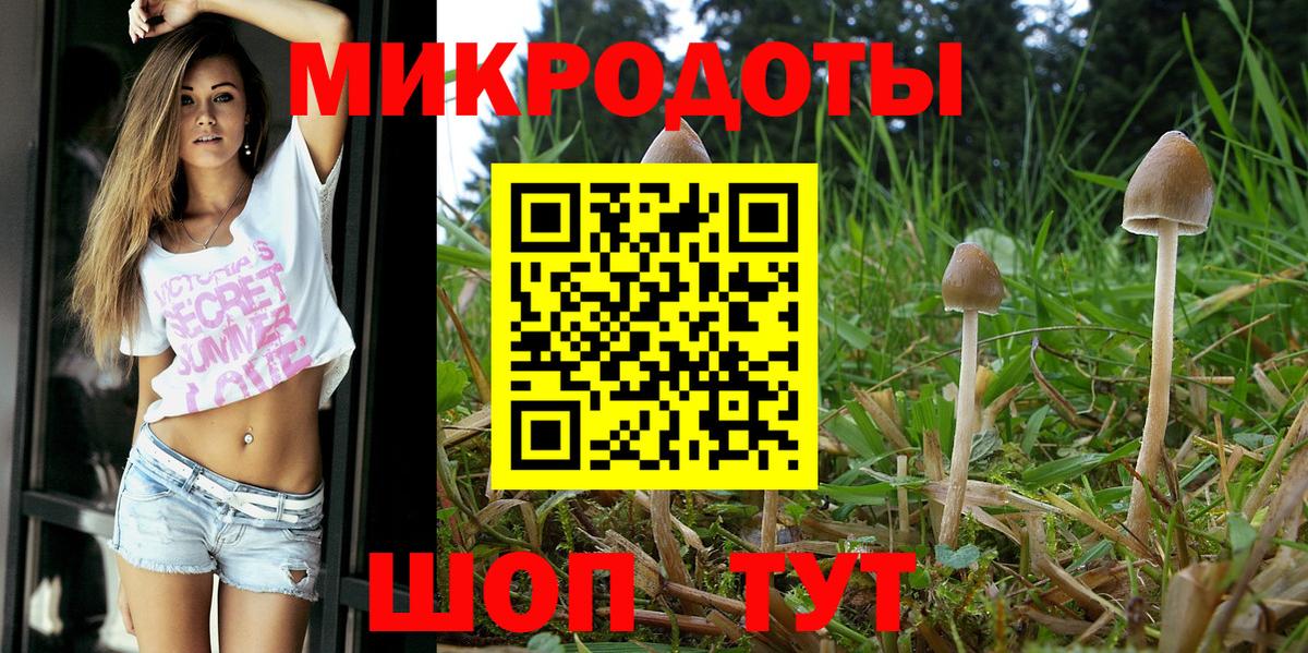 Когалым  Галлюциногенные грибы мицелий  Вход с VPN 